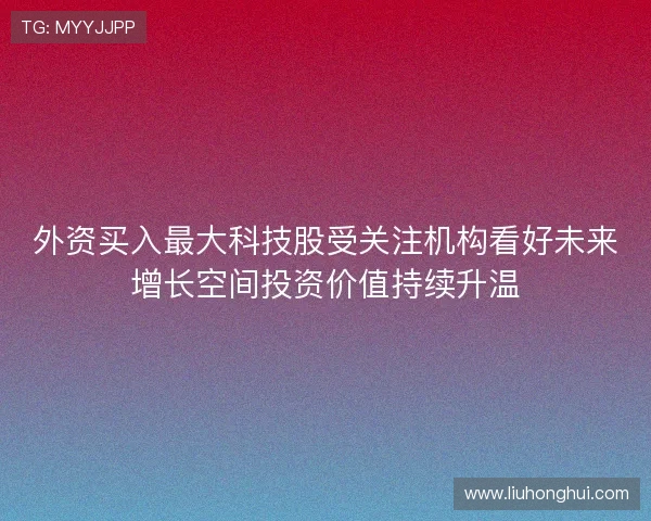 外资买入最大科技股受关注机构看好未来增长空间投资价值持续升温